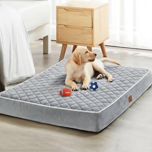 WNPETHOME Orthopedic Waterproof Extra Large Dog Bed XL